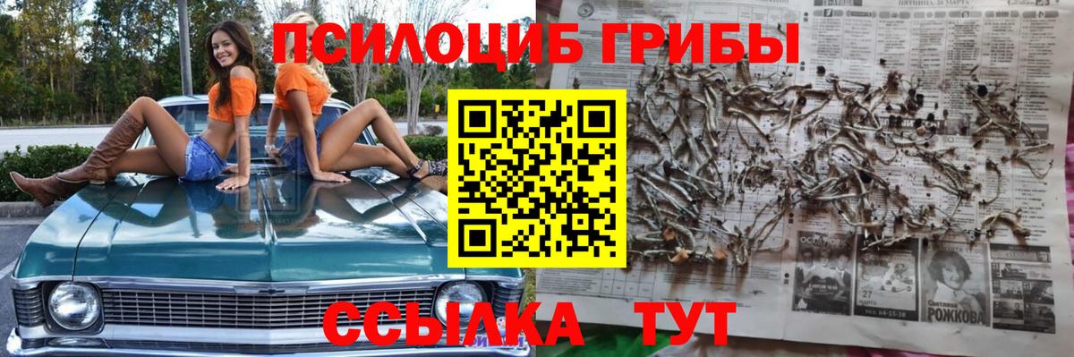 Псилоцибиновые грибы Psilocybine cubensis  Вход с VPN  Еманжелинск 